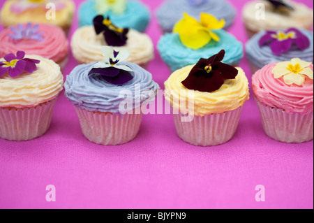 Tortini di colorati e commestibile fiori di primavera Foto Stock