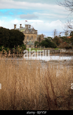 Graminacee selvatiche sul bordo del fiume Beaulieu nella nuova foresta con Beaulieu Abbey in background Foto Stock