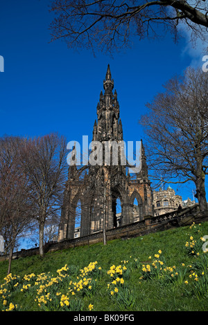 Walter Scott Monument con molla narcisi, i giardini di Princes Street, Edimburgo, Scozia, Regno Unito, Europa Foto Stock