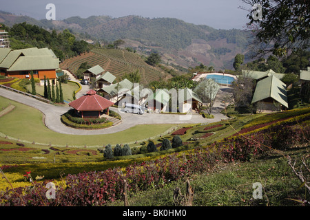 Un resort nel mezzo di piantagione di tè in Mae Salong, Thailandia Foto Stock