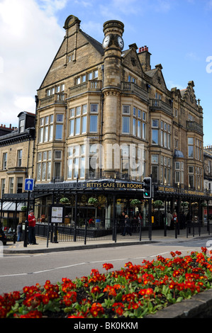 Il famoso Bettys Cafe sale da tè in Harrogate Yorkshire Regno Unito Foto Stock