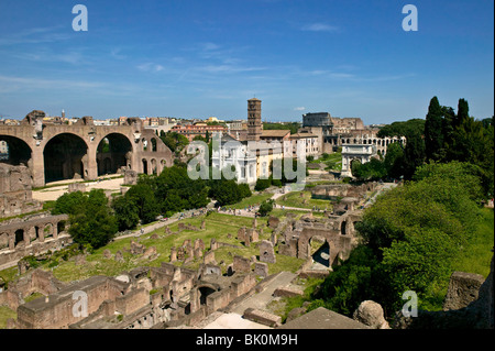 Ampio angolo di visione delle rovine del Foro Romano e il Colosseo con le in background e il Colle Palatino sulla destra. Foto Stock