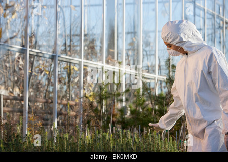 Scienziato in clean suit lavorando in serra Foto Stock