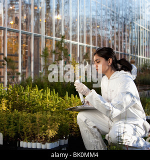 Lo scienziato indiano in clean suit lavorando in serra Foto Stock