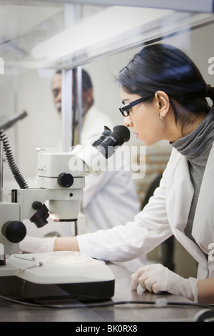 Lo scienziato indiano tramite microscopio in laboratorio Foto Stock