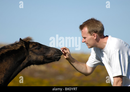 L'uomo con la Collina di Dartmoor Pony Foto Stock