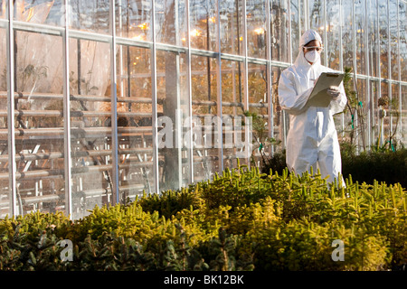 Scienziato in clean suit lavorando in serra Foto Stock