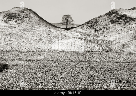 Veduta invernale del platano di Gap su vallo di Adriano, tra falesia Lough e Howsteads, in Northumberland, Inghilterra Foto Stock
