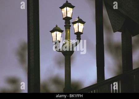 Victoria lampione Tyne Bridge Foto Stock