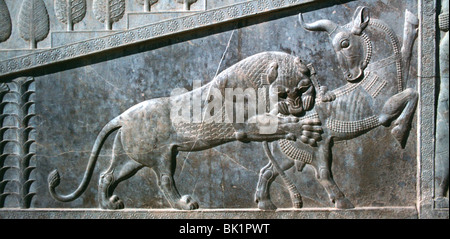 Rilievo di un toro di essere attaccato da un leone, la Apadana, Persepolis, Iran Foto Stock