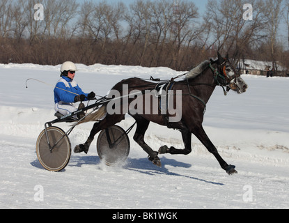 Cablaggio racing in inverno, trotter horse racing su una brughiera in stato di Tambov ippodromo, Russia Foto Stock