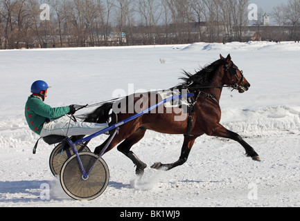 Cablaggio racing in inverno, trotter horse racing su una brughiera in stato di Tambov ippodromo, Russia Foto Stock