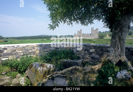 San Feichin ben e Fore Abbey contea Westmeath, Irlanda Eire Irish abbazie wells Saint Feichin santi saint rovina rovine rovinato Foto Stock