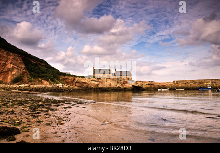 Una vista Cove Harbour e il villaggio vicino Cockburnspath in Scottish Borders Regione Foto Stock
