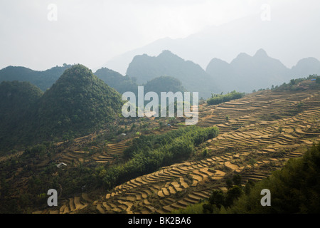 Paesaggi spettacolari di calcare montagne carsiche e risaie in Cao Bang Provincia nel Nord Vietnam Foto Stock