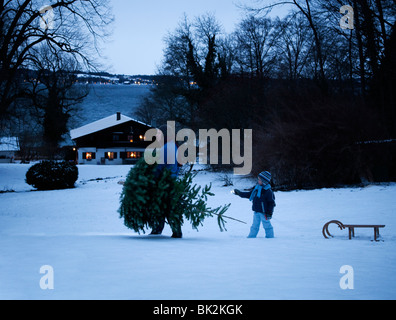 Padre e figlio che porta albero di natale Foto Stock