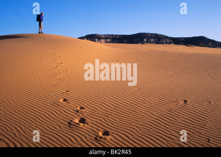 Coral Pink Sand Dunes State Park a ovest della città di Kanab, Utah. Foto Stock