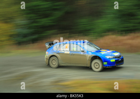 Concorrente nel Campionato del Mondo Rally stage speciale tenutasi nella foresta Hafren, vicino a Llanidloes, POWYS, GALLES. Foto Stock