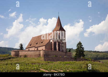 Il XV secolo chiesa fortificata di St Jacques e Grand Cru vigneti del vino Alsation route, Alsazia, Haut-Rhin, Francia Foto Stock