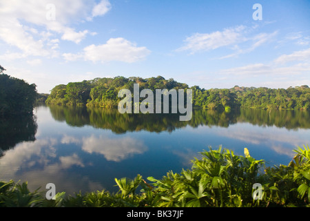 Il Lago di Gatun, sul Canale di Panama, Panama America Centrale Foto Stock