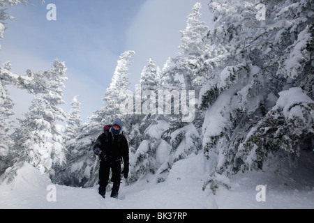 Appalachian Trail - Snowshoer sul sentiero Carter-Moriah in condizioni invernali vicino alla cima della cupola di Carter nelle White Mountains, New Hampshire USA Foto Stock