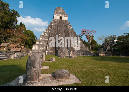 Gran Plaza e il tempio che io, Maya sito archeologico, Tikal, Sito Patrimonio Mondiale dell'UNESCO, Guatemala, America Centrale Foto Stock