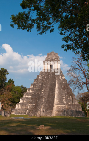 Gran Plaza e il tempio che io, Maya sito archeologico, Tikal, Sito Patrimonio Mondiale dell'UNESCO, Guatemala, America Centrale Foto Stock