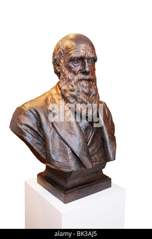 Charles Darwin, busto, Accademia delle Scienze di New York Foto Stock
