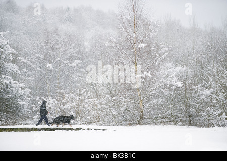Uomo che cammina cane, rossastro Vale, Country Park, Greater Manchester, Regno Unito Foto Stock