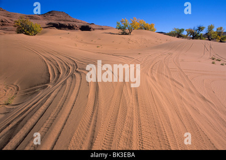 Fuoristrada le tracce in Bianco Dune di lavaggio a sud della città di Green River, Utah. Foto Stock
