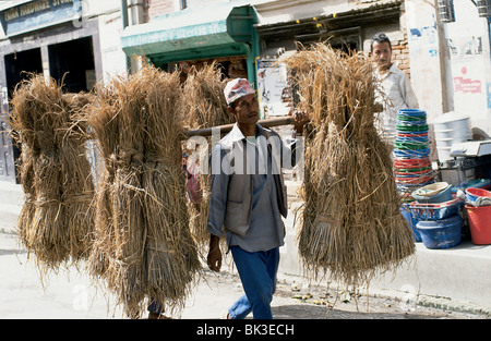 Uomo che porta fasci di erba elefante a Kathmandu in Nepal per erba (miscanthus) può essere utilizzato per i biocarburanti o in materiali da costruzione Foto Stock