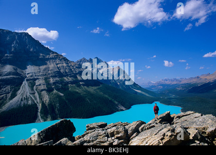 Escursionista affacciato sul Lago Peyto vicino al vertice di prua lungo i Campi di Ghiaccio Parkway nel Parco Nazionale di Banff, British Columbia, Canada. Foto Stock