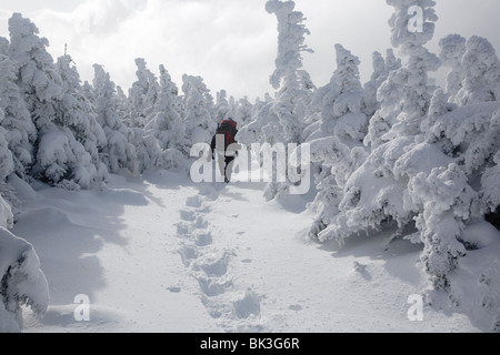 Appalachian Trail - Snowshoer sul sentiero Carter-Moriah in condizioni invernali vicino alla cima della cupola di Carter nelle White Mountains, New Hampshire USA Foto Stock