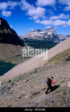 Montare Yukness e Monte Odaray visto dal percorso di abate passano nel lago O'Hara Regione del Parco Nazionale di Yoho, BC, Canada. Foto Stock