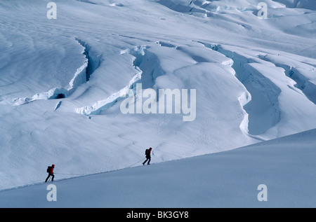 Due alpinisti negoziare crepacci sul ghiacciaio Fox in Westland National Park. Alpi del Sud, South Island, in Nuova Zelanda. Foto Stock