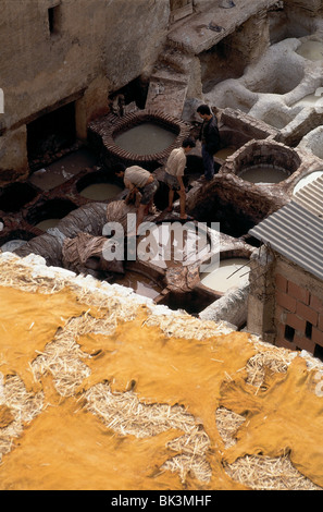 I conciatori di cuoio di colorazione del colorante nel box di centinaia di anni nella sezione vecchia di Fes, Marocco Foto Stock