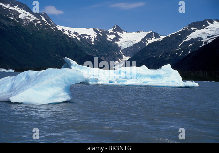 Ghiaccio galleggiante nel North American Portage Glacier Lake sulla penisola di Kenai, nello stato dell'Alaska, Stati Uniti, Stati Uniti Foto Stock