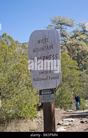 Un escursionista solitario sul sentiero in Montagna Bianca deserto e Lincoln National Forest, Nuovo Messico. Foto Stock