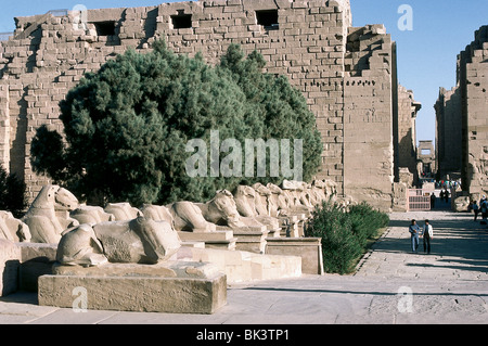 Avenue di Criosphinxes presso il Tempio di Amon di Karnak nell antica Tebe, Egitto Foto Stock