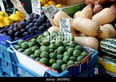 Indicatore verde o Greengage prugne per la vendita su pressione di stallo Foto Stock