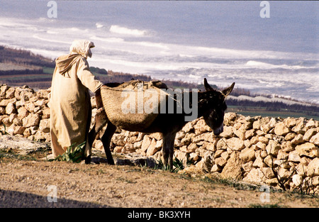 Uomo con donkey tra Safi e Casablanca, lungo il litorale Atlanic, Marocco Foto Stock