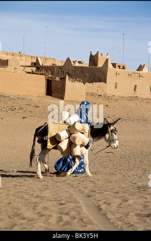 Donna che cammina un asino vicino a un villaggio nella provincia di Ouarzazate, Marocco Foto Stock