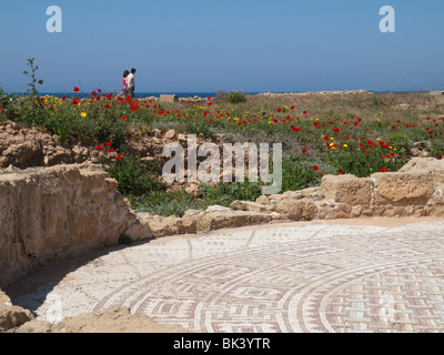 Mosaici a Paphos parco archeologico, Cipro Europa Foto Stock