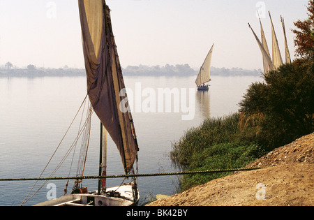 Barche a vela lungo il Nilo, Egitto Foto Stock