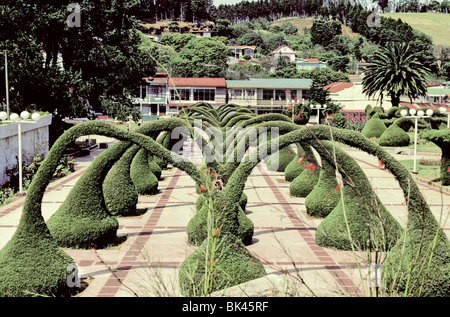 Topiaria da arcate ondulata intagliati da cipressi di conifere in Zarcero, Costa Rica Foto Stock