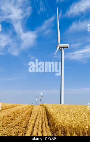 Mulini a vento che forniscono energia rinnovabile su terreni agricoli in Washington sudorientale Foto Stock