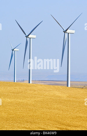 Mulini a vento che forniscono energia rinnovabile su terreni agricoli in Washington sudorientale Foto Stock