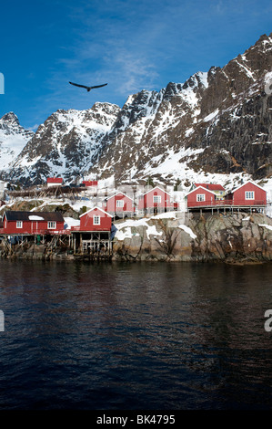 Tradizionale in legno rosso Rorbu fishermens' capanne nel villaggio di Henningsvaer in Isole Lofoten in Norvegia Foto Stock