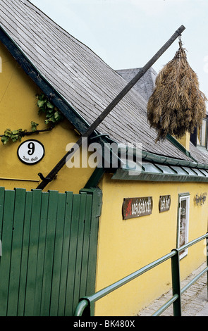 Vino Viennese taverna Grinzing zona di Vienna Austria raggruppamento di pino rami è un segno storico risalente al 1784 Foto Stock