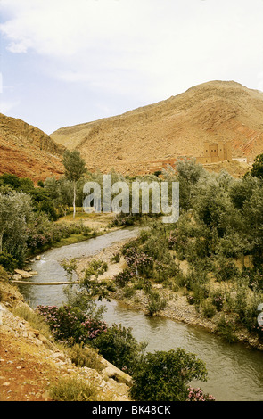 River Valley, in Dades Canyon vicino a Tinerhir, Marocco, dell'Atlante Foto Stock